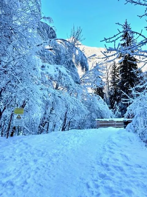 Chalet Pitu - 1-6 People Venosc France
