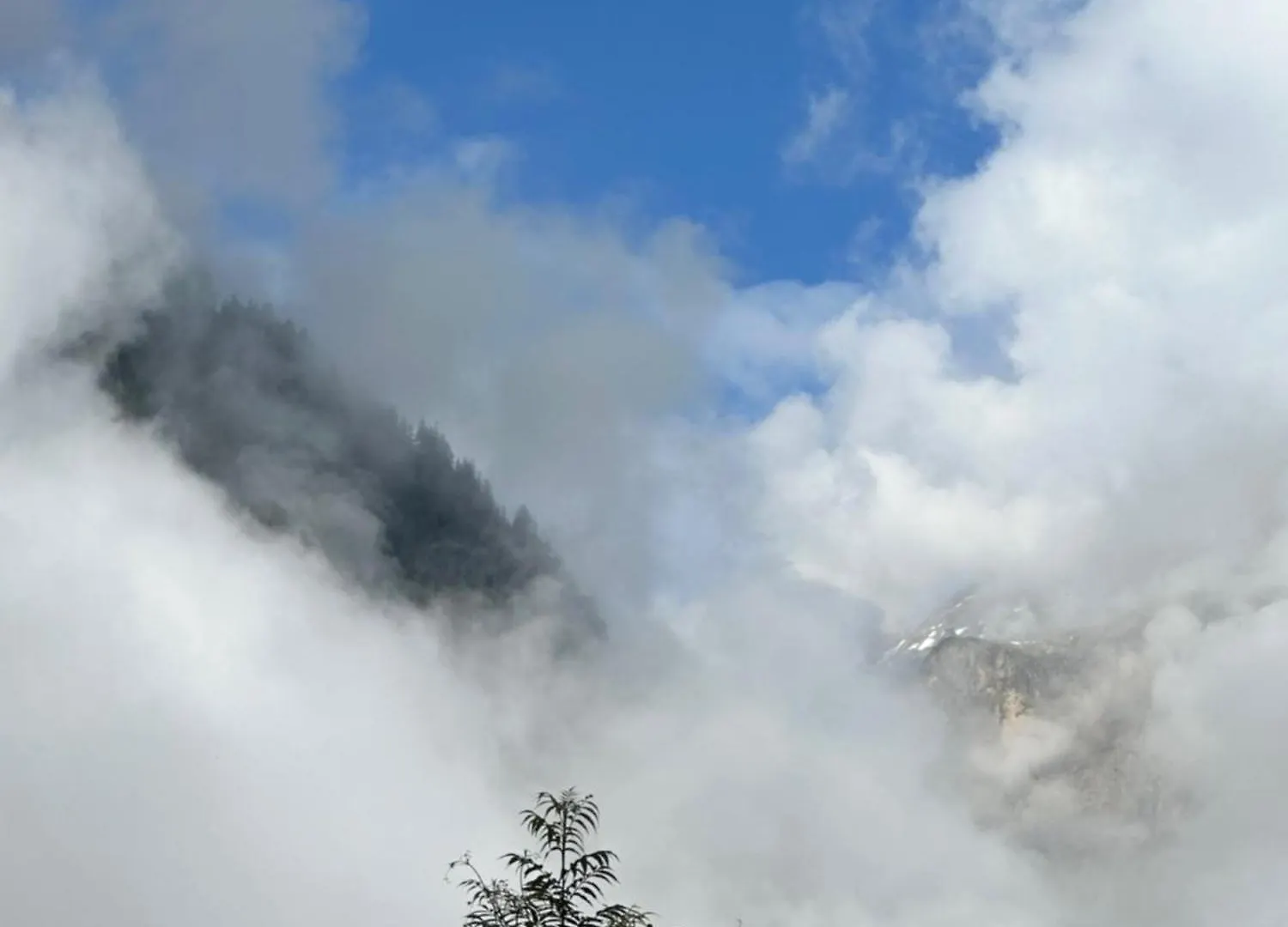Chalet Pitu - 1-6 People Venosc 0*,  France